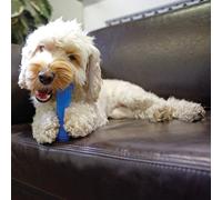 Rosewood Chillax Cool Bone, 7-Inch