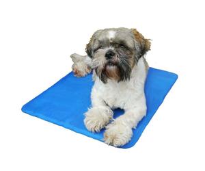 Rosewood Chillax Cool Pad Dog Pet Cooling Mat Medium Large