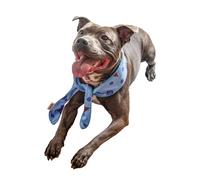 Rosewood Cooling Neckerchief for Dogs, Large - Blueberry Ice Cream Print, Adjustable Fit, Absorbent Foam Section, Soak and Freeze for Instant Cooling Relief, Bandana for Large Dogs