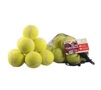 Rosewood Dog Tennis Balls 12 Pack Pet Puppy Fetch Play Throw Toy