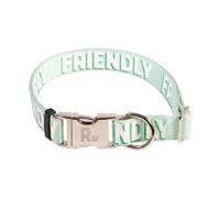 Rosewood "Friendly" Alert Dog Collar - Adjustable Pet Collar for Small, Medium, Large Dogs - Awareness Warning Collar with Metal Hardware - Green, 14-20"