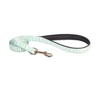 Rosewood "Friendly" Alert Dog Lead - Pet Leash for Small, Medium, Large Dogs - Awareness Warning Lead with Metal Hardware - Green, 102cm