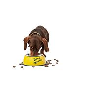 Rosewood Joules "Bone Appetite" Dog Bowl