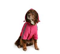 Joules Lydford Water Resistant Reflective Dog Coat