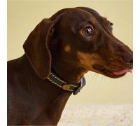 Rosewood Joules Navy Leather Dog Collar, Small