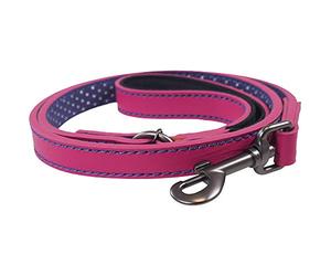 Rosewood Joules Pink Leather Dog Lead
