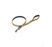 Rosewood Joules Yellow & Navy Coastal Dog Lead