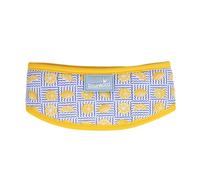 Rosewood Medium Cooling Dog Collar - Self-Activating Cooling Collar for Dogs - Adjustable Velcro Fit - Lightweight Summer Cooling Neck Wrap - No Water Needed - Lemon Print