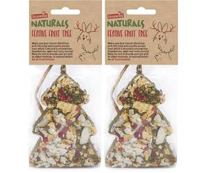 Rosewood Naturals Festive Fruit Tree, Rabbit Treats & Small Animal Treats (Pack of 2)