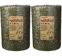 Rosewood Naturals Hay ‘n’ Hide Roll, Small Animal Edible Play Tunnel, Toy & Hay Hideout, for Rabbits, Guinea Pigs and Chinchillas, Large (Pack of 2)
