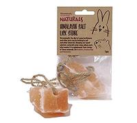 Rosewood Naturals Himalayan Salt Lick Stone, Small Animal Mineral Stone for Rabbits, Guinea Pigs and Hamsters, (Pack of 1)