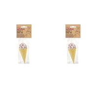 Rosewood Naturals Raspberry 'n' Coconut Cone, Small Animal Treat for Rabbits, Guinea Pigs, Hamsters, Gerbils, Mice and Rats (Pack of 2)