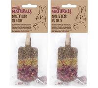Rosewood Naturals Rose 'n' Herb Ice Lolly Small Animal Treat for Rabbits, Guinea Pigs, Chinchillas, Degus, Hamsters, Gerbils, Mice, Rats - 1pc (Pack of 2)