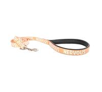 Rosewood "Nervous" Alert Dog Lead - Pet Leash for Small, Medium, Large Dogs - Awareness Warning Lead with Metal Hardware - Orange, 102cm