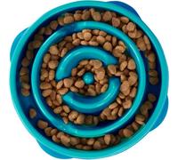 Rosewood Outward Hound Fun Feeder Slo Dog Bowl