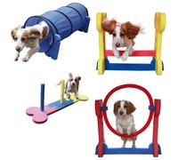 Rosewood Small Dog Agility Toys - Slalom
