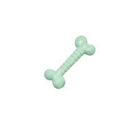 Rosewood Small Mint Bone - Durable Nylon Chew Toy for Small Dogs