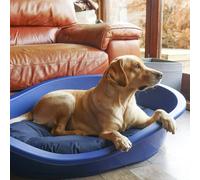 Rosewood Sonny Plastic Bed - Blue - Size: X Large - Pet Beds