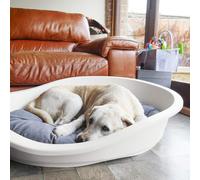 Rosewood Sonny Plastic Bed - Cream - Size: Medium - Pet Beds