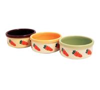 Rosewood Stoneware Ceramic Pet Bowl for Small Animals - Carrot Design,