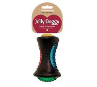 Rosewood Jolly Doggy Throw & Flash Bone Dog Toy