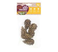 Rosewood Boredom Breaker Veggie Burst Pinecones Rabbit Treats & Small Animal Treats, 6pc 75g
