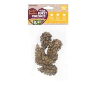 Rosewood Veggie Burst Pinecones - Treat and Gnaw, Made with Natural Grasses and Vegetables, Boredom Breaker Treats for Rabbits, Guinea Pigs, Hamsters and all other Small Animals, 6pc