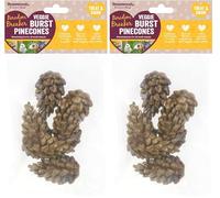 Rosewood Veggie Burst Pinecones - Treat and Gnaw, Made with Natural Grasses and Vegetables, Boredom Breaker Treats for Rabbits, Guinea Pigs, Hamsters and all other Small Animals, 6pc (Pack of 2)