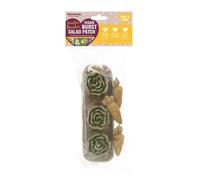 Boredom Breaker Veggie Burst Salad Patch Rabbit Treats & Small Animal Treats, 200g