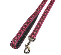 Rosewood Wag-n-Heart Walk Lead, 3/4-inch, Pink