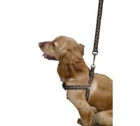 Rosewood Wag-n-Walk Harness, 5/8-inch, Small, Brown/Teal
