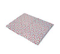 Rosewood Watermelon Print Rectangular Dog Cool Mat