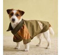 Rosewood x Joules Kennington Coat for Dogs, Medium, Washable, Lightweight Jacket, Water-Resistant Dog Coat for Medium Dogs