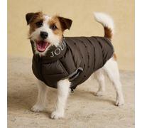 Rosewood X Joules Moorsdale Ketchup Reversible Puffer Dog Coat