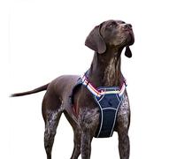 Rosewood x Joules Rainbow Harness, Small, Reflective Trim