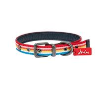 Rosewood x Joules Rainbow Stripe Dog Collar, Small, with Adjustable Metal Buckle and Stylish Detail, Trendy, Durable Collar for Walking Small Dogs & Puppies