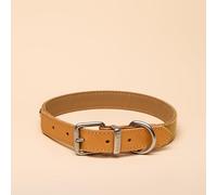 Rosewood x Joules Tan Dog Collar, Large - Durable Leather and Webbing Detail, Stylish Design with Brushed Metal Buckle, Premium Pet Accessory