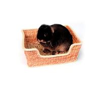 Rosewood's Boredom Breaker Chill 'N' Snooze Bed | Small Animals