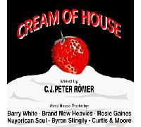 Rosie Gaines, Soulchip, Brand New Heavies, Barry White..