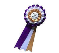 RosieCentral Suffragist Suffragette Votes for Women Satin Rosette Cockade Dress- Up Accessory. Suffrage for Women
