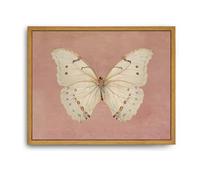 Roslynity Framed Canvas Wall Art Vintage Print White Butterfly Paintings Neutral Moody Insect Pink Antique Moth Retro Aesthetic Artwork for Home Living Room Farmhouse Wall Decor (8"x10")