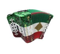 Rossetti 34 Button Accordion 12 Bass, 3 Switch, Case & Straps, GCF, Tri-Color: Red/White/Green