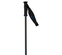 ROSSIGNOL Electra Premium Carbon Ski Poles - Black and Blue