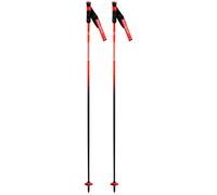 Rossignol - Hero Carbon - 130 - Poles