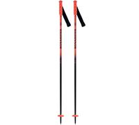 Rossignol - Hero Sl Jr - 100 - Poles