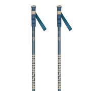 Rossignol Stove Poles 20 Pairs