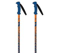 Rossignol Tactic Junior Poles