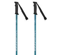 Rossignol Tactic Poles