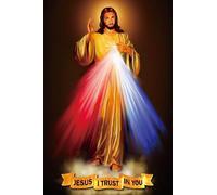 ROSTITCH DY1025 Divine Mercy Cross Stitch Kits, 11CTEasy Funny Preprinted Pre Printed Counted Stamped Cross Stitch Kits for Beginners Adults, Cross Stitch Embroidery Starter Kit for Adults