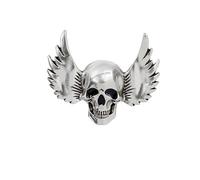 ROSTIVO Gothic Skull Brooch Pins for Women and Men Witch Punk Jewelry Halloween Pin Accessories